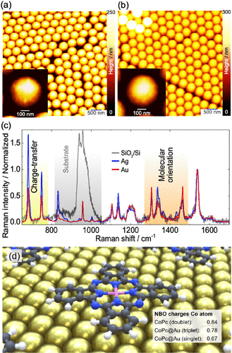 Figure 4. Atomic force microscopy imaging of (a) Ag-coated and (b) Au-coated nanosphere samples. The insets show zoom-in individual nanospheres with no significant changes in the surface structure. (c) Raman spectra from the Ag- and Au-coated samples, including the CoPc film spectrum on SiO2/Si. All spectra were normalized to the CC vibration intensity. (d) Hybrid system investigated using two- dimensional periodic boundary conditions; charges of the Co atom in the CoPc (gas phase, doublet) as well as in CoPc@Au (more stable triplet and singlet) as obtained by Natural Bond Orbital analysis are indicated, see Table S8 for details.